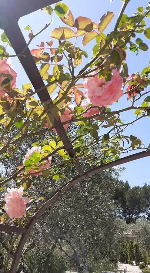 Hotel Villa Glanum Et Spa Saint-Remy-de-Provence France